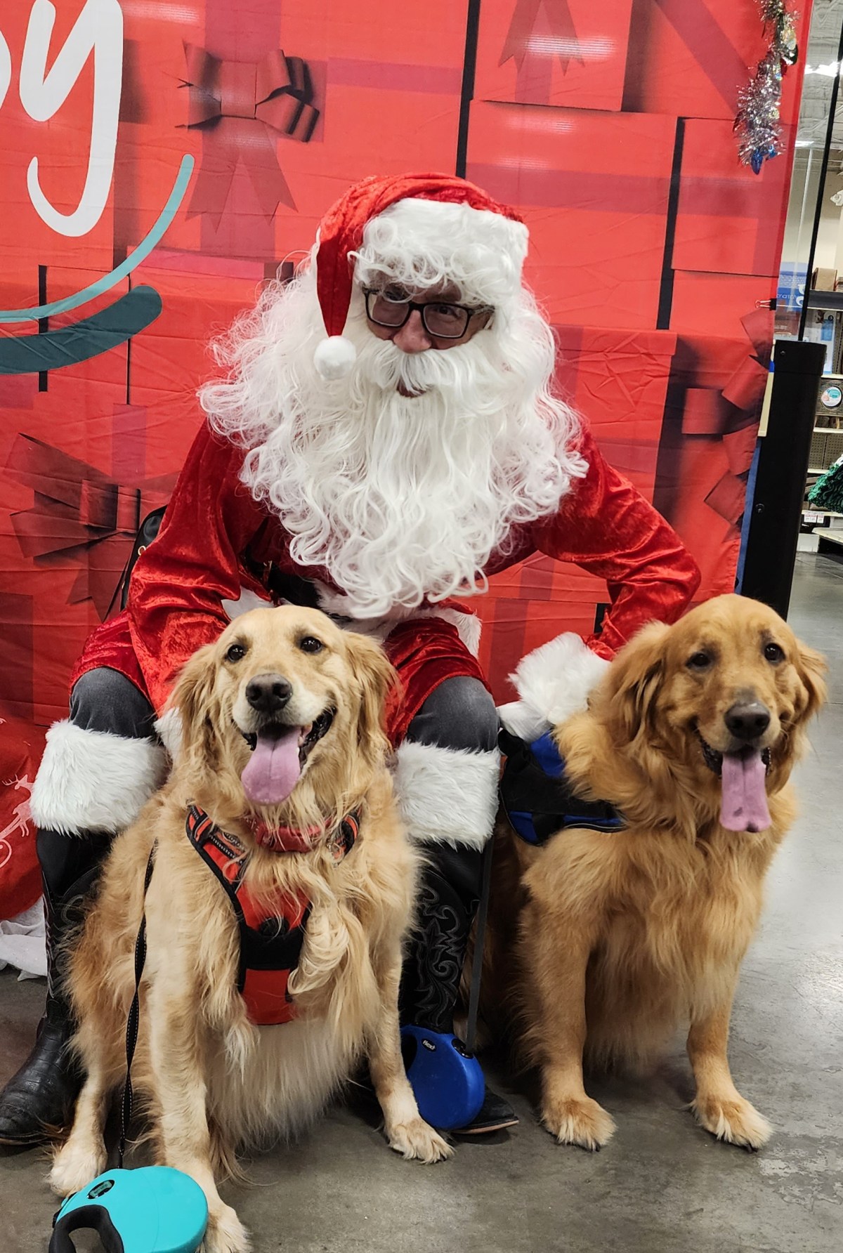 Visiting Santa Paws
